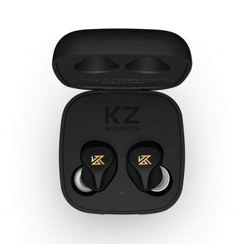 KZ Z1 - Black Series Premium Earbuds