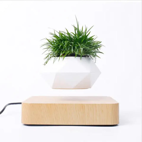 Levitating Bonsai Pot with floating effect, showcasing small green plant suspended above a wooden base for a modern and innovative indoor garden display.