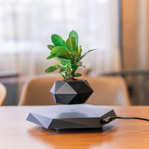 Levitating Bonsai - Smart Home Design