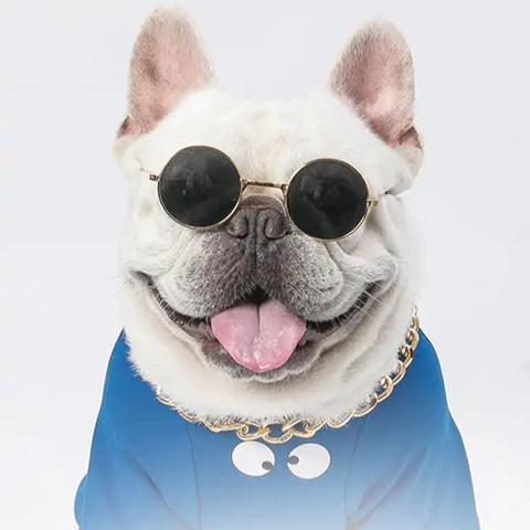 Dope Dog Stylish Sunglasses on a happy dog, offering UV protection and a fashionable look.