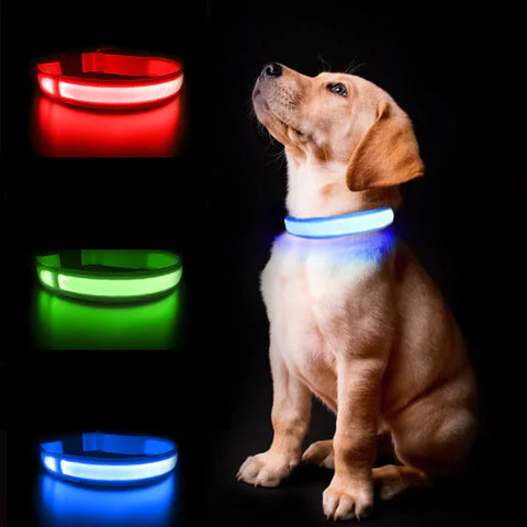 Ensure Your Pup’s Safety with the Puplights Luminous AirTag Collar, featuring durable, waterproof materials, unlimited location tracking, and high visibility in low-light conditions.