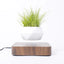 Levitating Bonsai Pot with floating effect, showcasing small green plant suspended above a wooden base for a modern and innovative indoor garden display.