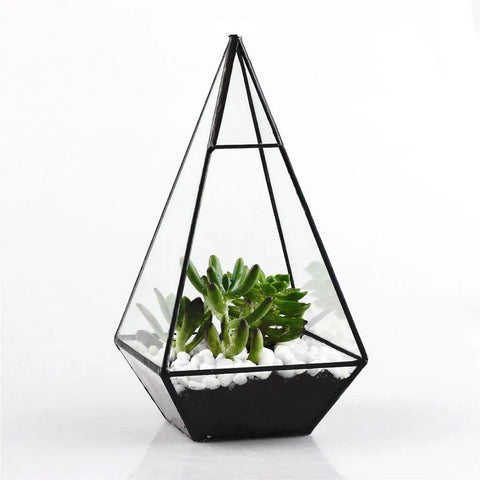 Innovative Pyramid Glass Terrarium